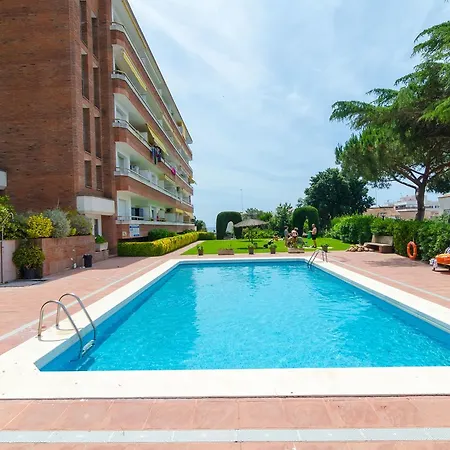 Aloe - Palmeras Lloret de Mar
